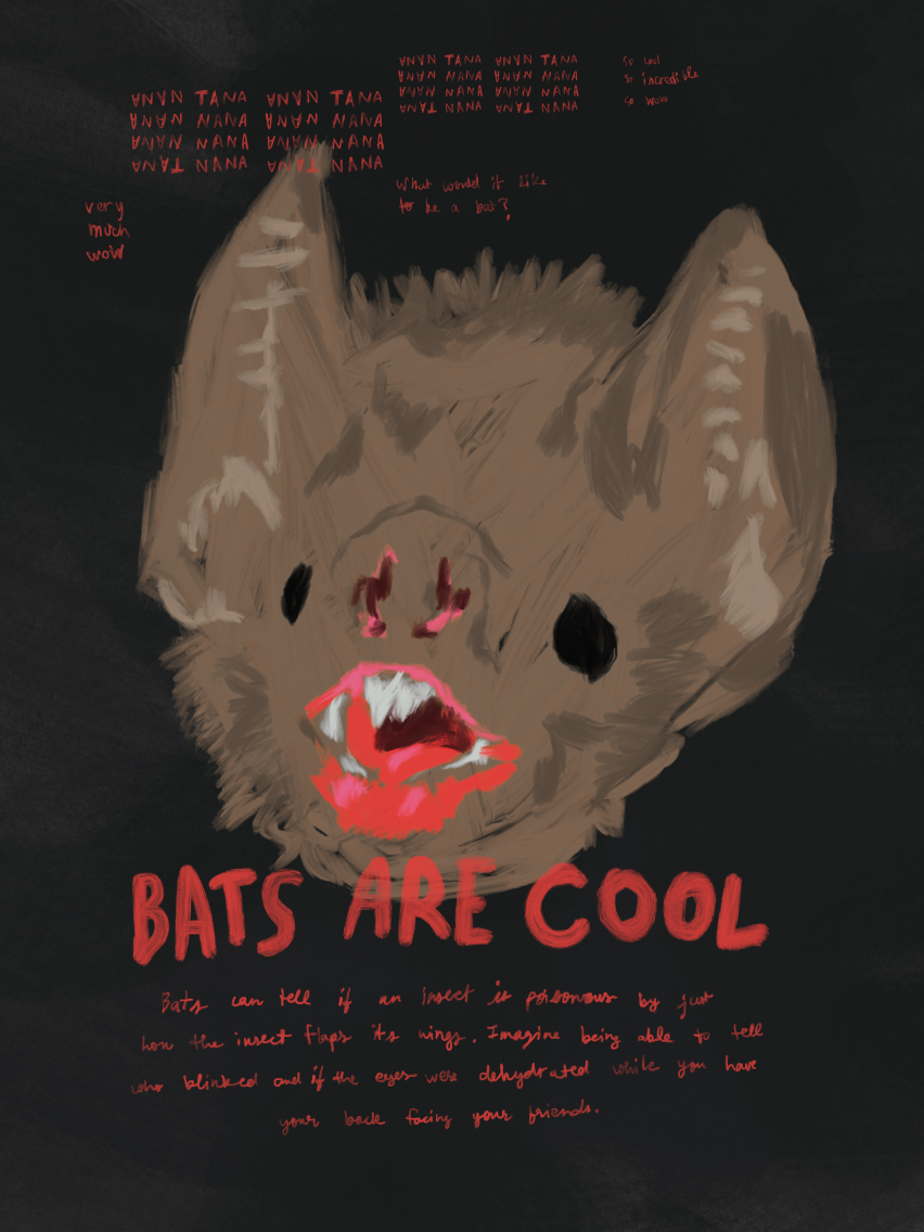 Bats are Cool